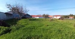Lote De Terreno com 8040m2 Urbanizável na Aldeia De Asseiceira a 5 Minutos De Rio Maior