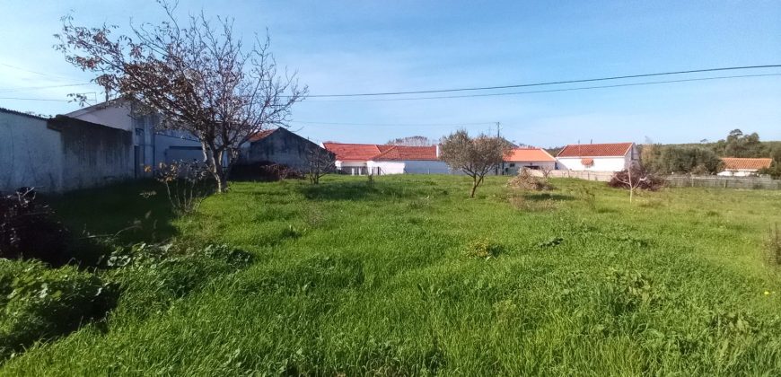Lote De Terreno com 8040m2 Urbanizável na Aldeia De Asseiceira a 5 Minutos De Rio Maior
