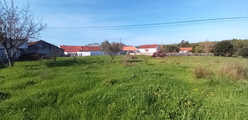 Lote De Terreno com 8040m2 Urbanizável na Aldeia De Asseiceira a 5 Minutos De Rio Maior