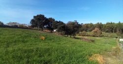 Lote De Terreno com 8040m2 Urbanizável na Aldeia De Asseiceira a 5 Minutos De Rio Maior
