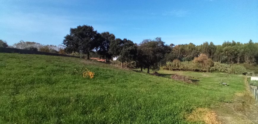 Lote De Terreno com 8040m2 Urbanizável na Aldeia De Asseiceira a 5 Minutos De Rio Maior