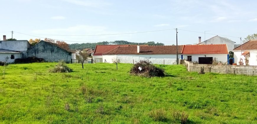 Lote De Terreno com 8040m2 Urbanizável na Aldeia De Asseiceira a 5 Minutos De Rio Maior