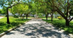 Lote Terreno Para Construção Na Pacata Aldeia De Assentiz _ Rio Maior.