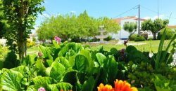 Lote Terreno Para Construção Na Pacata Aldeia De Assentiz _ Rio Maior.