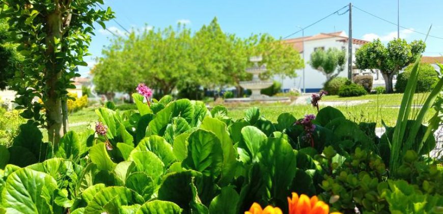 Lote Terreno Para Construção Na Pacata Aldeia De Assentiz _ Rio Maior.