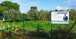 Lote Terreno Localizado Na Cidade De Rio Maior Junto Ao Estádio Municipal E a ESDRM