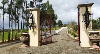 Quinta Localizada Na Imediações da Aldeia de Ribeira de são João – Rio Maior