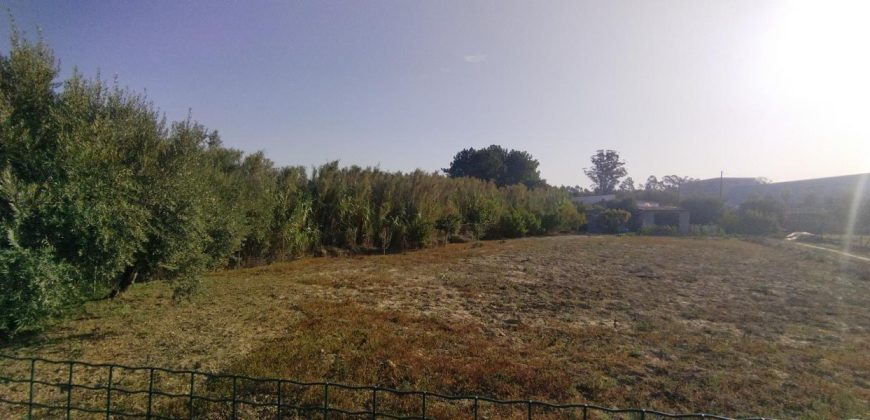 Lote Terreno Localizado Na Cidade De Rio Maior Junto Ao Estádio Municipal E a ESDRM