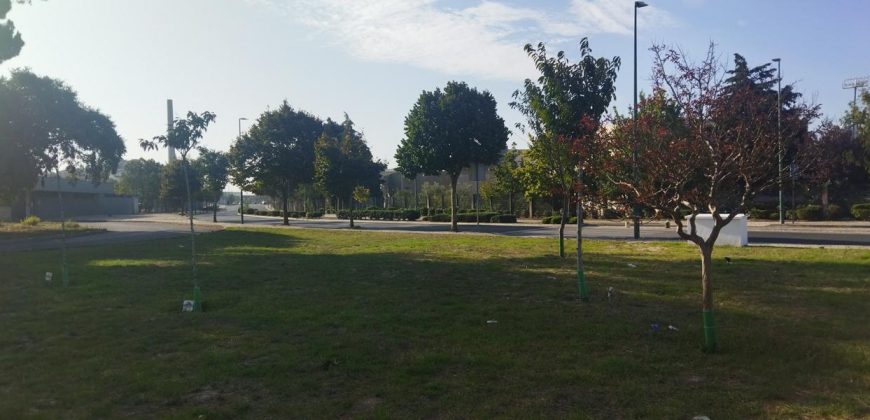 Lote Terreno Localizado Na Cidade De Rio Maior Junto Ao Estádio Municipal E a ESDRM
