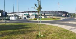 Lote Terreno Localizado Na Cidade De Rio Maior Junto Ao Estádio Municipal E a ESDRM
