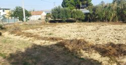 Lote Terreno Localizado Na Cidade De Rio Maior Junto Ao Estádio Municipal E a ESDRM