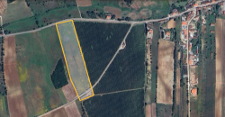 Lote Terreno Rústico Na Pacata Aldeia De Alforzemel – Almoster