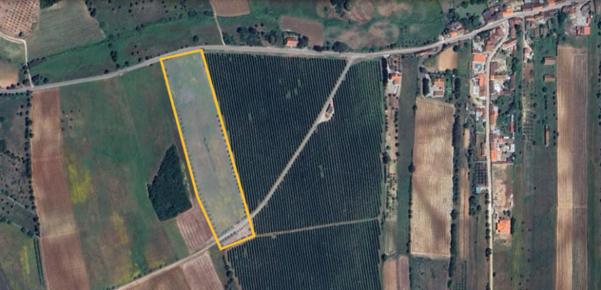 Lote Terreno Rústico Na Pacata Aldeia De Alforzemel – Almoster