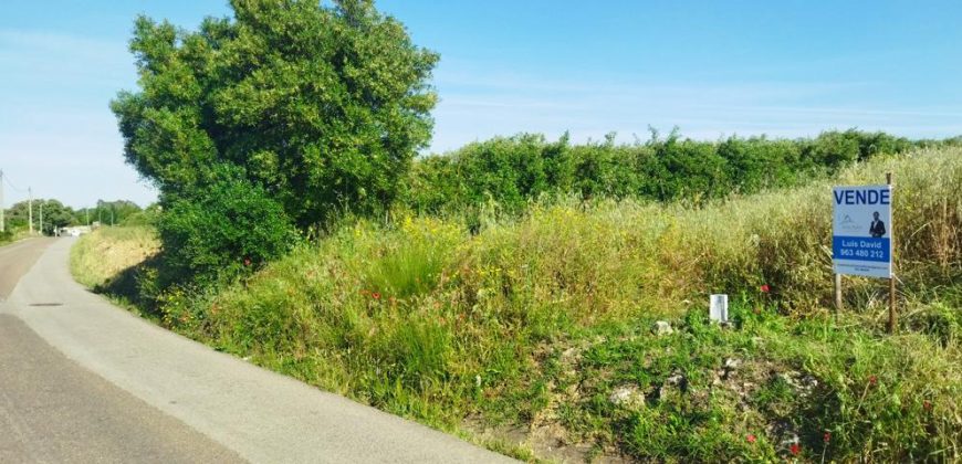 Lote Terreno Rústico Na Pacata Aldeia De Alforzemel – Almoster