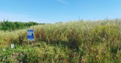 Lote Terreno Rústico Na Pacata Aldeia De Alforzemel – Almoster