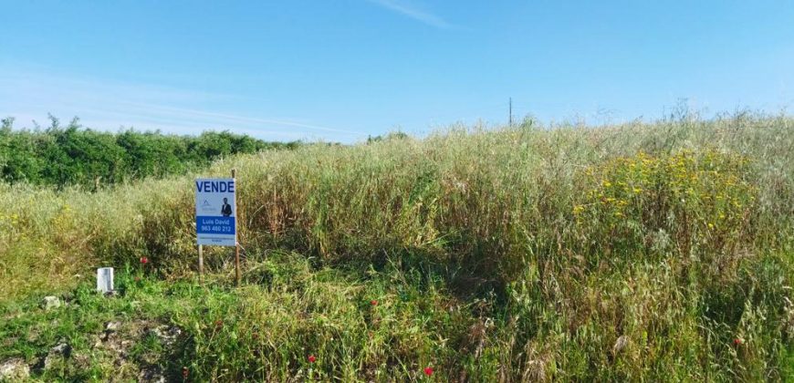 Lote Terreno Rústico Na Pacata Aldeia De Alforzemel – Almoster