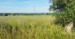 Lote Terreno Rústico Na Pacata Aldeia De Alforzemel – Almoster