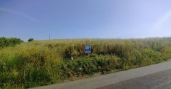 Lote Terreno Rústico Na Pacata Aldeia De Alforzemel – Almoster
