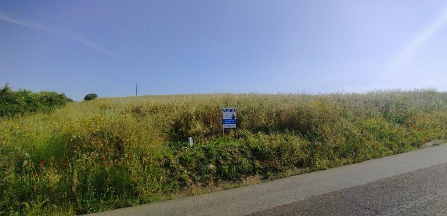 Lote Terreno Rústico Na Pacata Aldeia De Alforzemel – Almoster