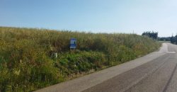 Lote Terreno Rústico Na Pacata Aldeia De Alforzemel – Almoster