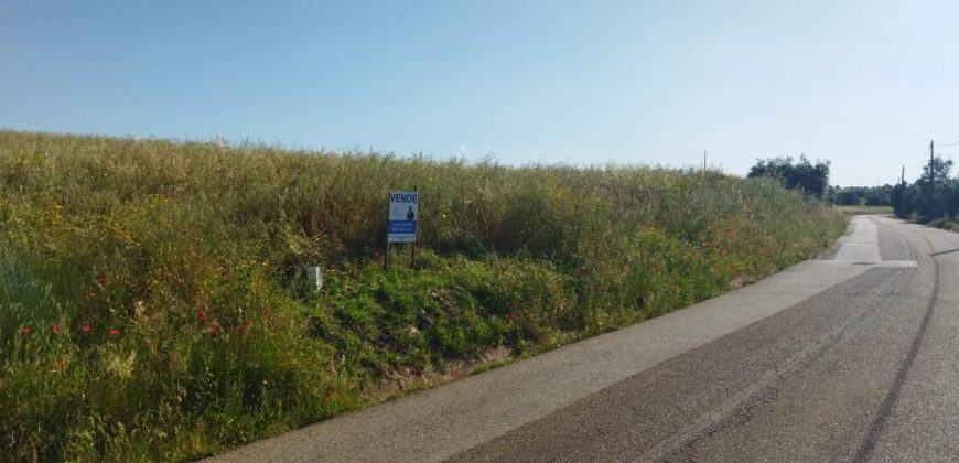 Lote Terreno Rústico Na Pacata Aldeia De Alforzemel – Almoster