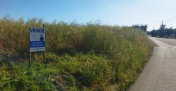 Lote Terreno Rústico Na Pacata Aldeia De Alforzemel – Almoster