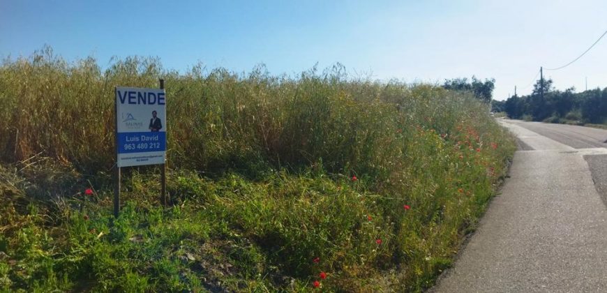 Lote Terreno Rústico Na Pacata Aldeia De Alforzemel – Almoster