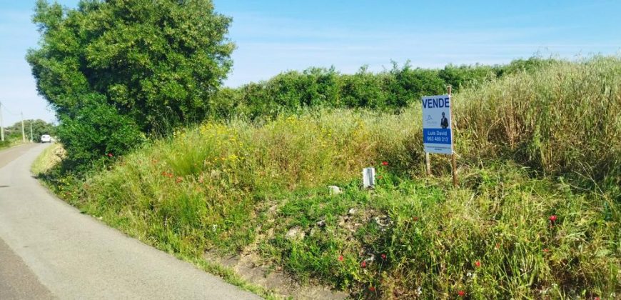 Lote Terreno Rústico Na Pacata Aldeia De Alforzemel – Almoster