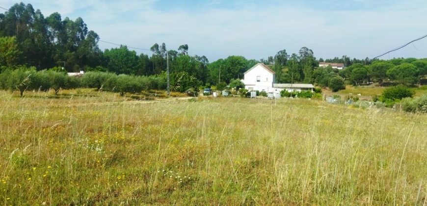 Quintinha Para Reabilitar Localizada a 5 Minutos Do centro Da Cidade De Rio Maior
