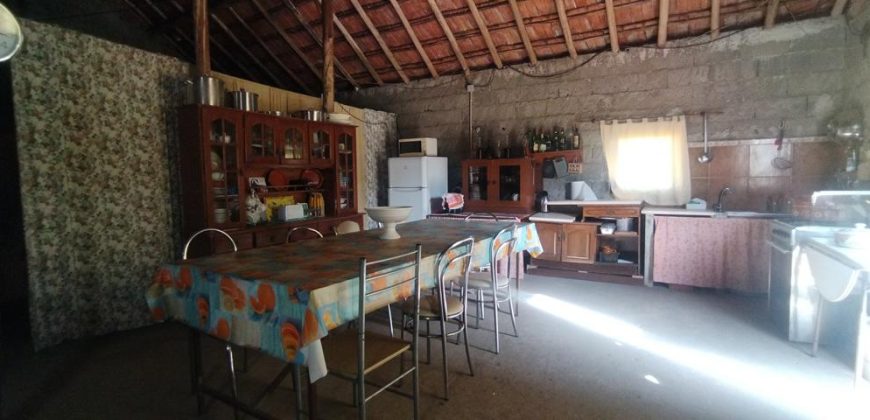 Quintinha Para Reabilitar Localizada a 5 Minutos Do centro Da Cidade De Rio Maior