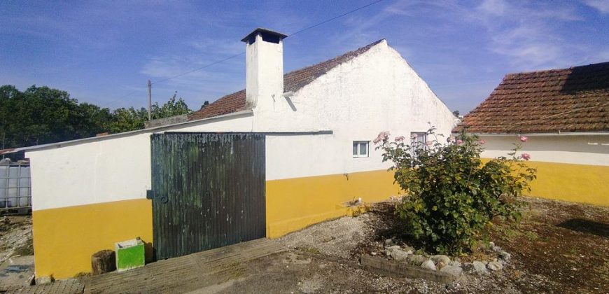 Quintinha Para Reabilitar Localizada a 5 Minutos Do centro Da Cidade De Rio Maior