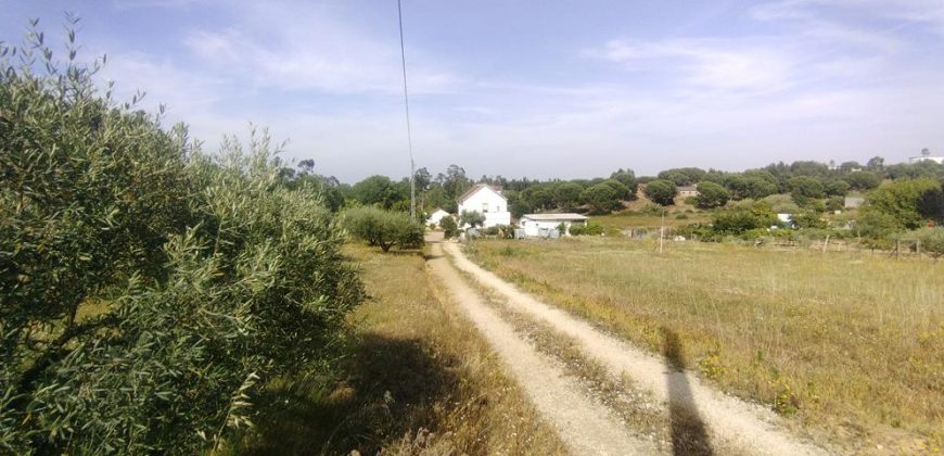 Quintinha Para Reabilitar Localizada a 5 Minutos Do centro Da Cidade De Rio Maior