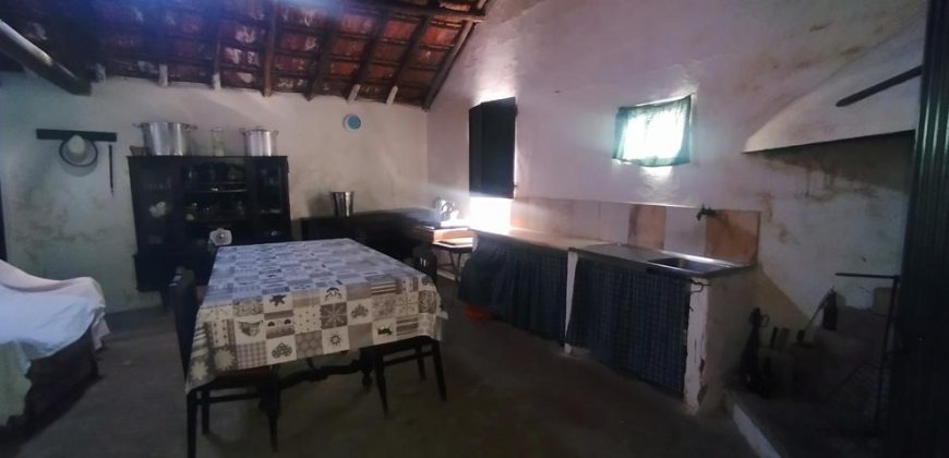 Quintinha Para Reabilitar Localizada a 5 Minutos Do centro Da Cidade De Rio Maior