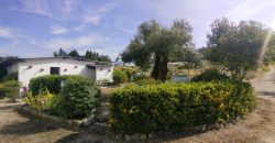 Quintinha Para Reabilitar Localizada a 5 Minutos Do centro Da Cidade De Rio Maior