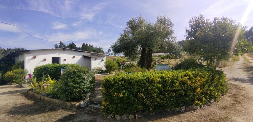 Quintinha Para Reabilitar Localizada a 5 Minutos Do centro Da Cidade De Rio Maior