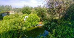 Quintinha Para Reabilitar Localizada a 5 Minutos Do centro Da Cidade De Rio Maior