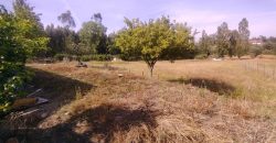 Quintinha Para Reabilitar Localizada a 5 Minutos Do centro Da Cidade De Rio Maior