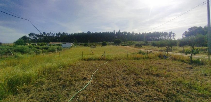 Quintinha Para Reabilitar Localizada a 5 Minutos Do centro Da Cidade De Rio Maior