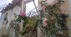 Moradia Rústica E Anexos P/Reabilitar Situada No Lugar De Casal da Velha – Rio Maior. Moradia Rústica E Anexos P/Reabilitar Situada No Lugar De Casal da Velha – Rio Maior.