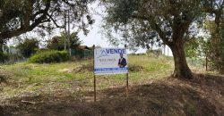 Lote De Terreno Urbano Para Construção Localizado Na Pacata Aldeia De Assentiz_ Rio Maior