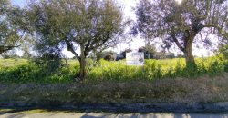 Lote De Terreno Urbano Para Construção Localizado Na Pacata Aldeia De Assentiz_ Rio Maior