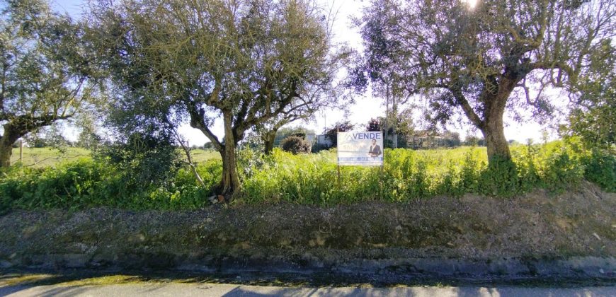 Lote De Terreno Urbano Para Construção Localizado Na Pacata Aldeia De Assentiz_ Rio Maior