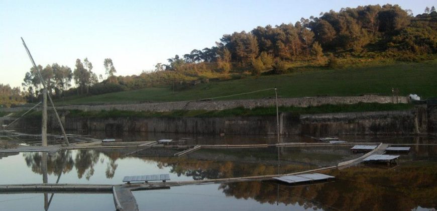 Lote Terreno Com Projecto Para Construção de 5 Moradias Em Condomínio_Marinhas Sal _ Rio Maior.