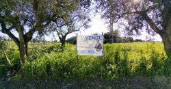 Lote De Terreno Urbano Para Construção Localizado Na Pacata Aldeia De Assentiz_ Rio Maior