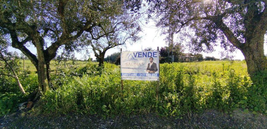 Lote De Terreno Urbano Para Construção Localizado Na Pacata Aldeia De Assentiz_ Rio Maior