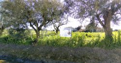 Lote De Terreno Urbano Para Construção Localizado Na Pacata Aldeia De Assentiz_ Rio Maior