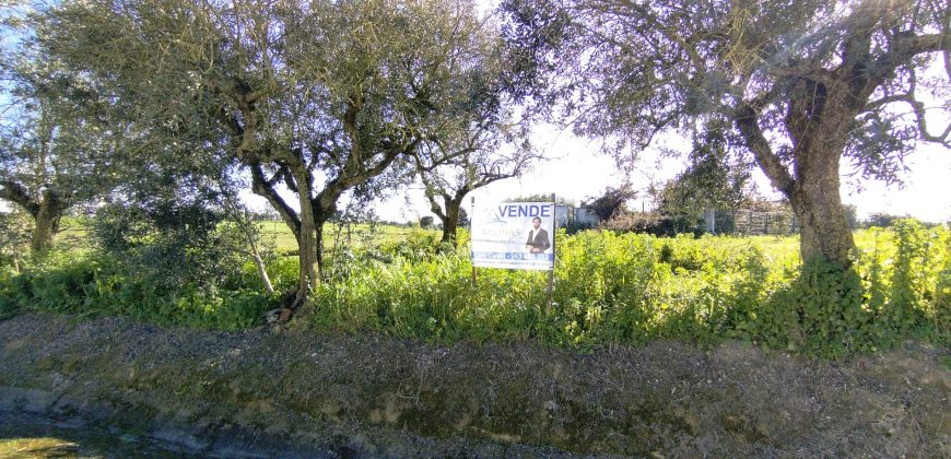 Lote De Terreno Urbano Para Construção Localizado Na Pacata Aldeia De Assentiz_ Rio Maior