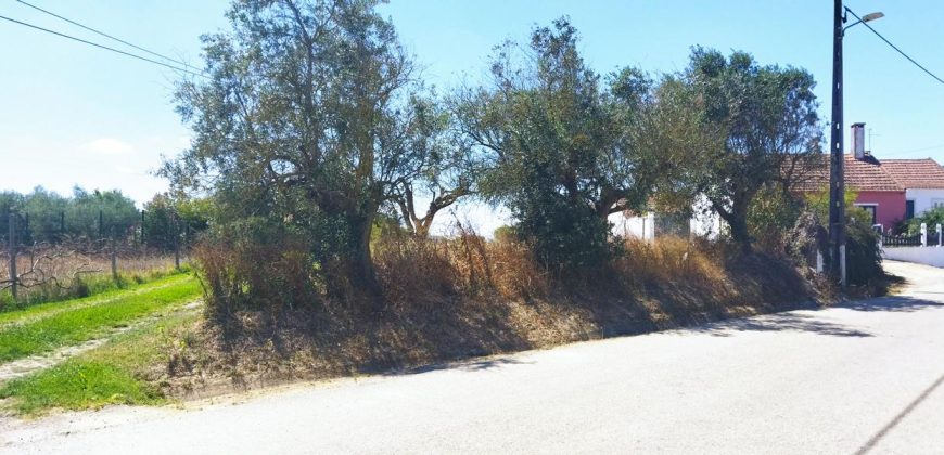 Lote De Terreno Urbano Para Construção Localizado Na Pacata Aldeia De Assentiz_ Rio Maior