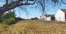 Lote De Terreno Urbano Para Construção Localizado Na Pacata Aldeia De Assentiz_ Rio Maior