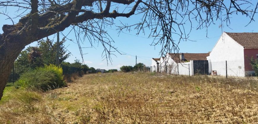Lote De Terreno Urbano Para Construção Localizado Na Pacata Aldeia De Assentiz_ Rio Maior